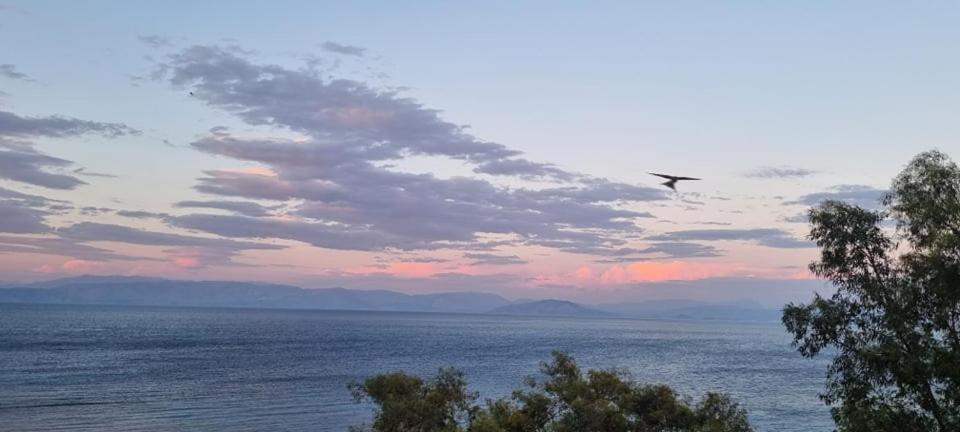Aparthotel Ionian Mare Agios Ioannis Peristerion Exteriér fotografie